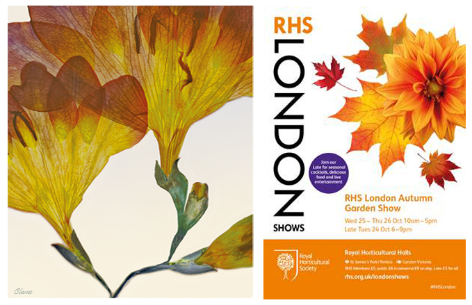RHS Autumn Garden Show 24-26 Oct 2017