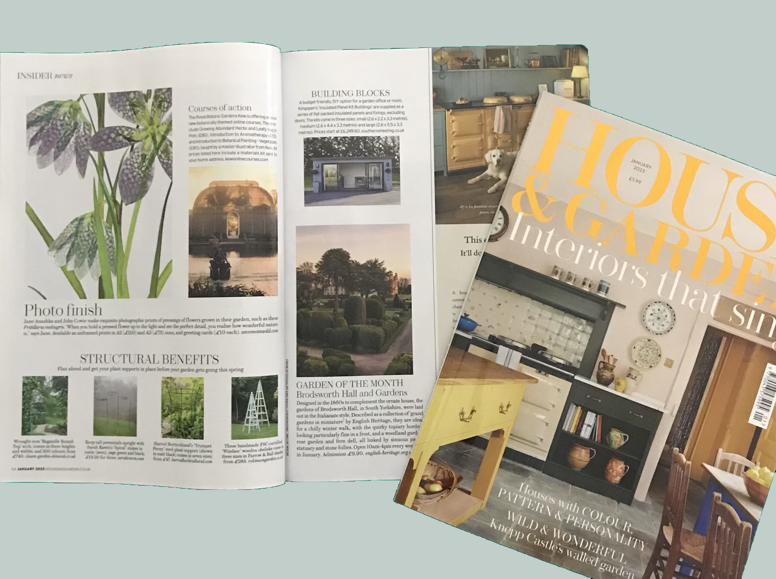 Fritillaria image featured in H&G January issue